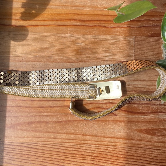 Vintage Scale Belt - Picture 5 of 6